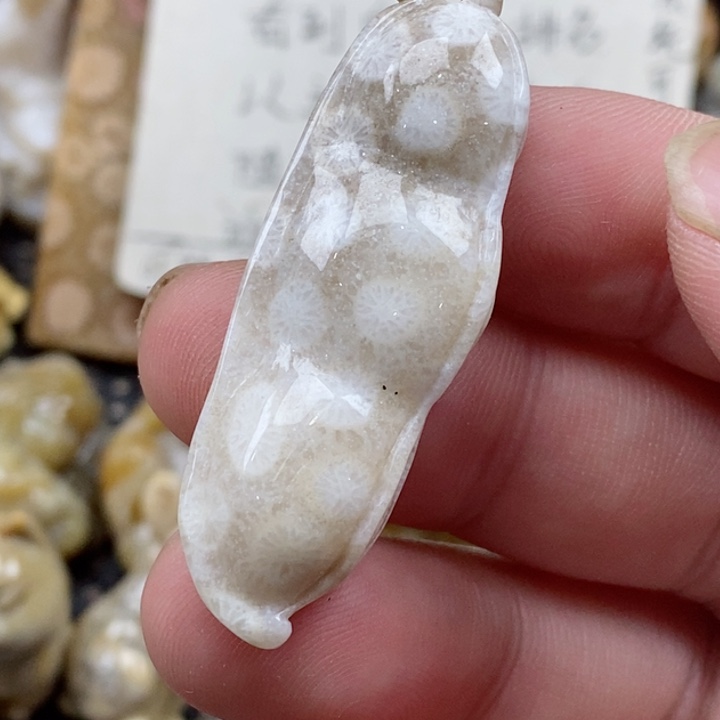 颈饰未镶嵌硅化珊瑚（珊瑚玉）