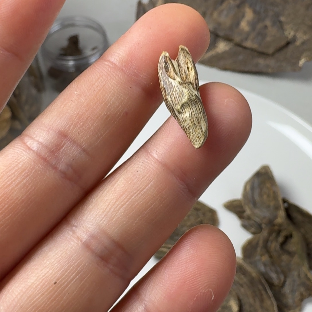 沉香沉香碎屑高州虎胆