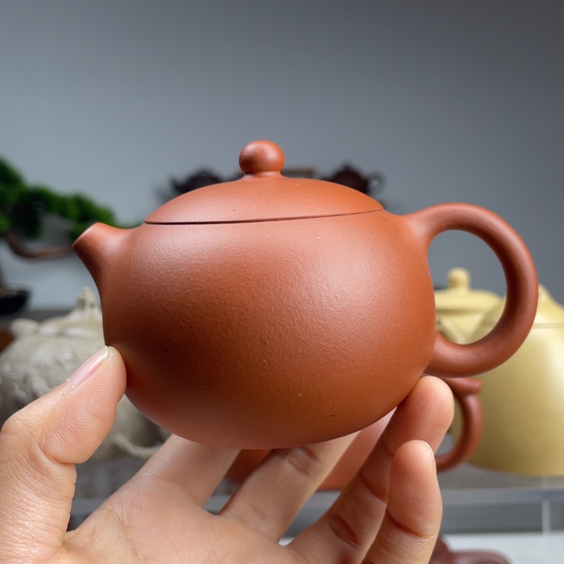 【闪购商品】紫砂茶壶生料朱泥西施容量150cc