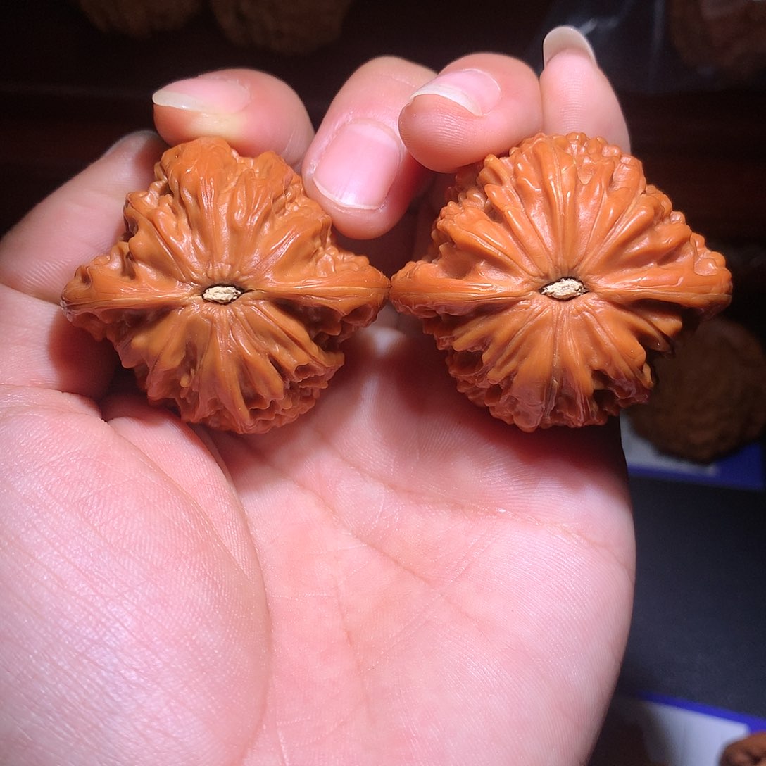 核桃手串/手链小*磨盘精配好对4.2chicun
