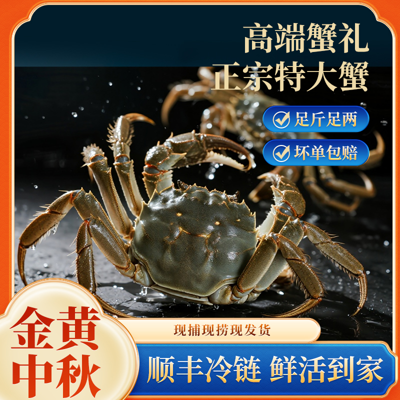 【活蟹】全母蟹3.2-2.9两鲜活高端礼盒包装吃蟹工具姜茶6只8只10只