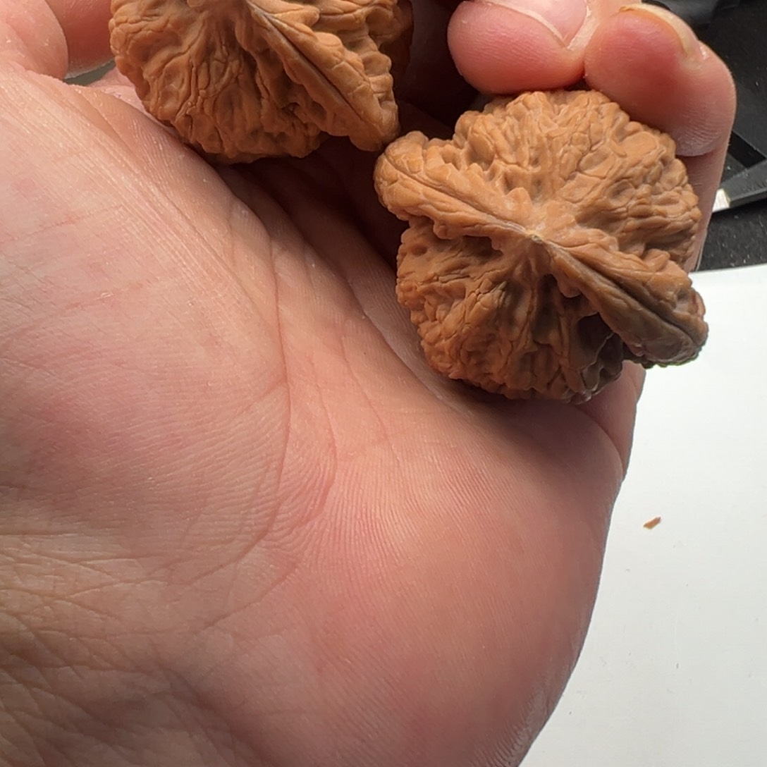 文玩核桃把件金公子47