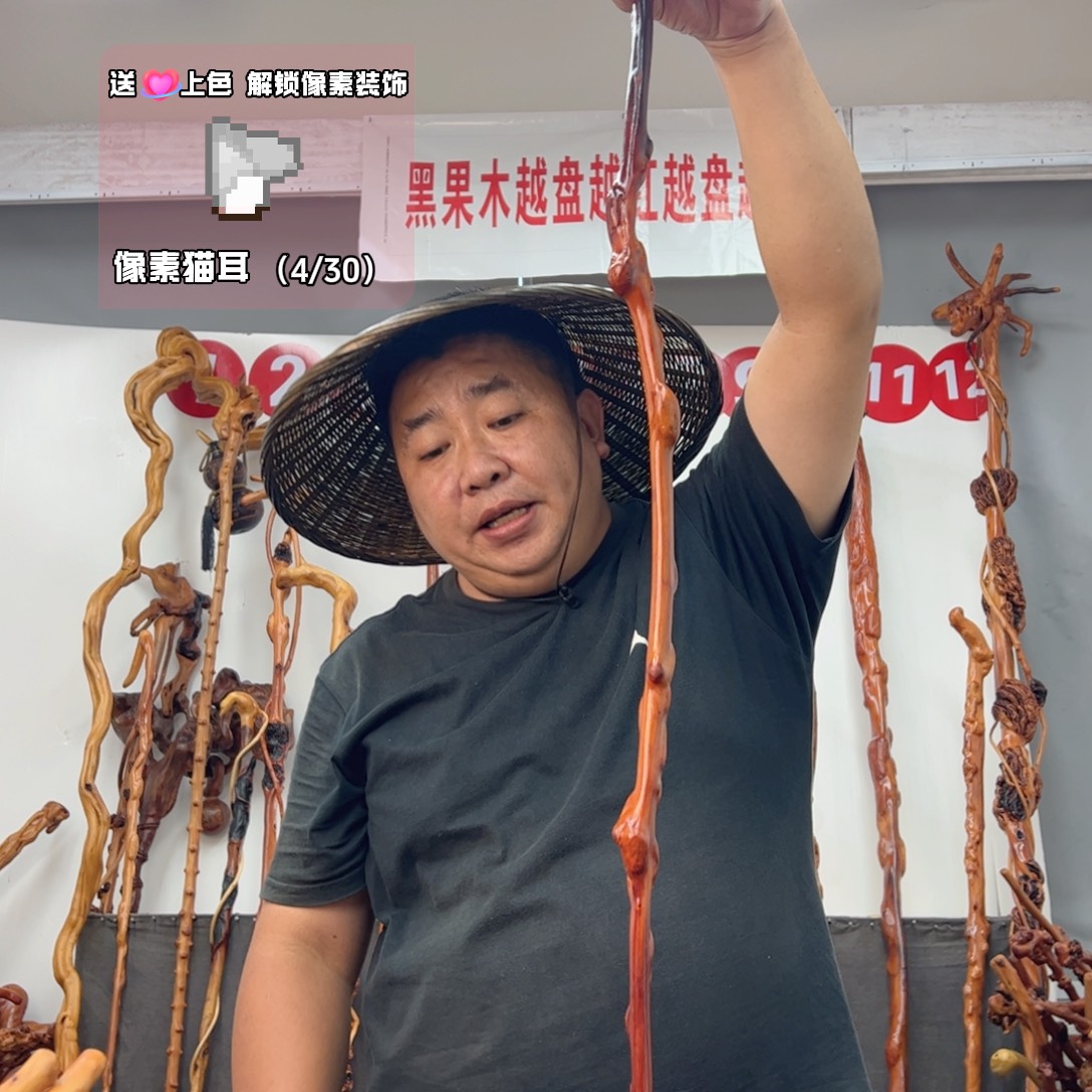 小***子黑果木其他黑果木085
