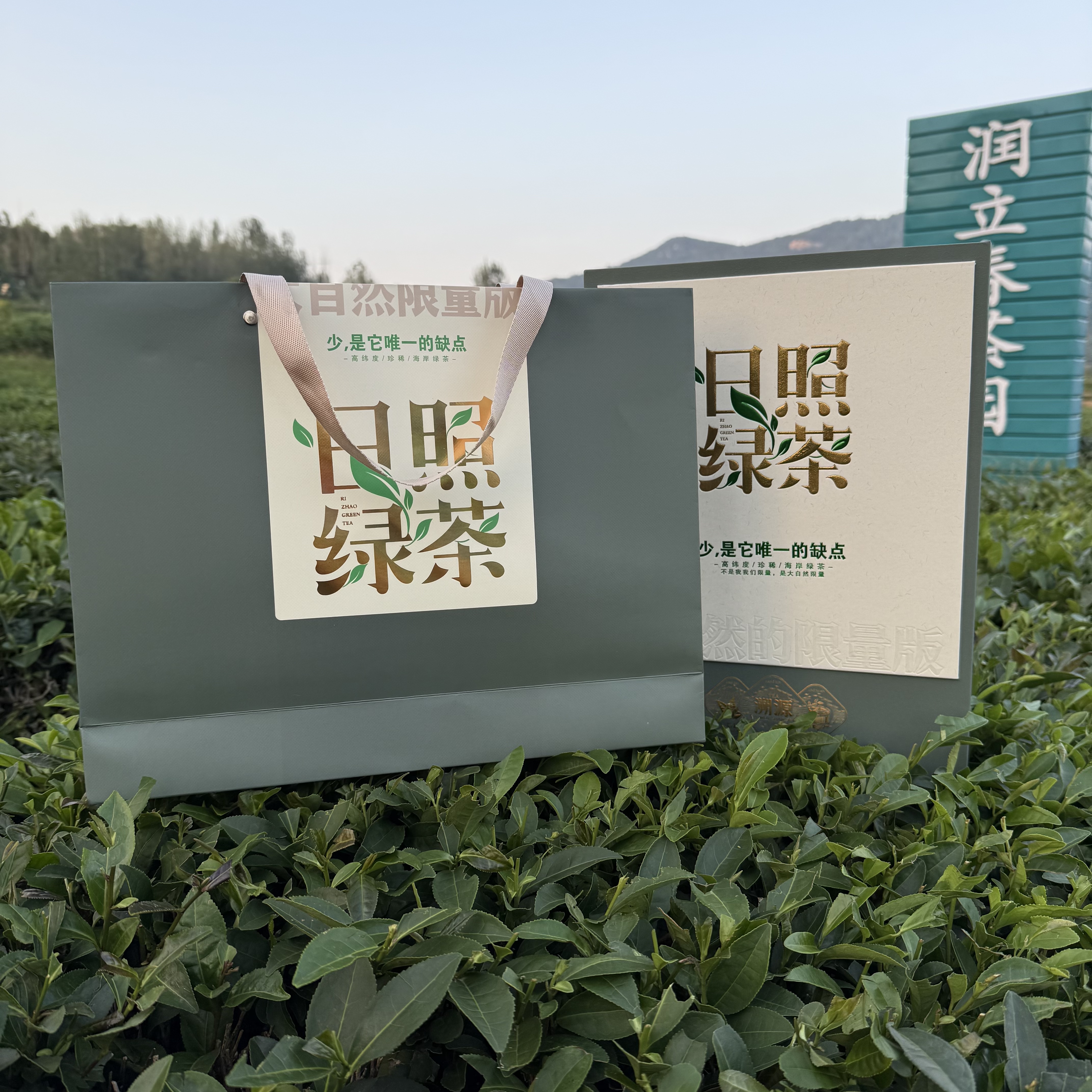 日照绿茶大自然半斤礼盒装两提