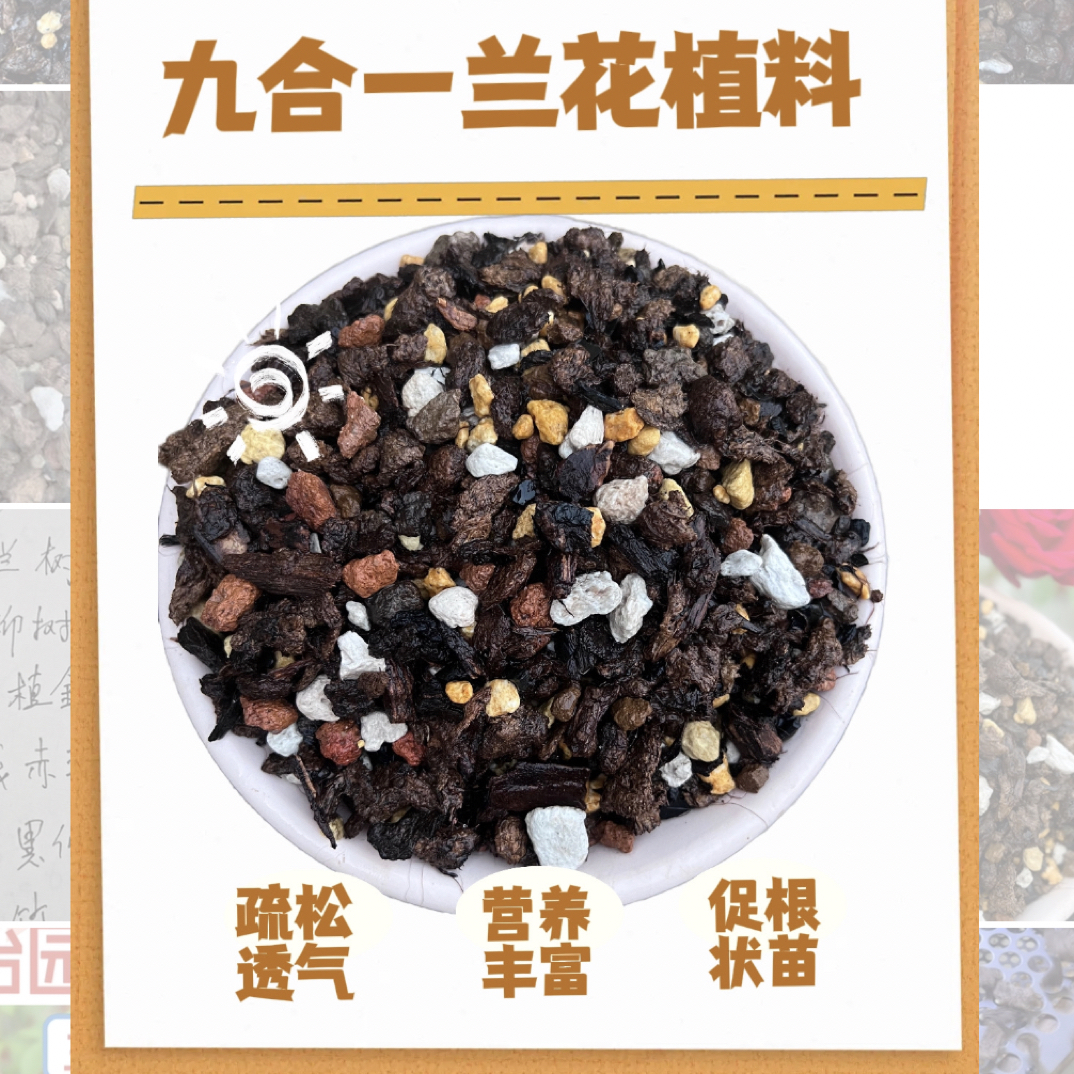 兰花专用植料颗粒泥炭配制九合一兰花营养土疏松透气营养均衡