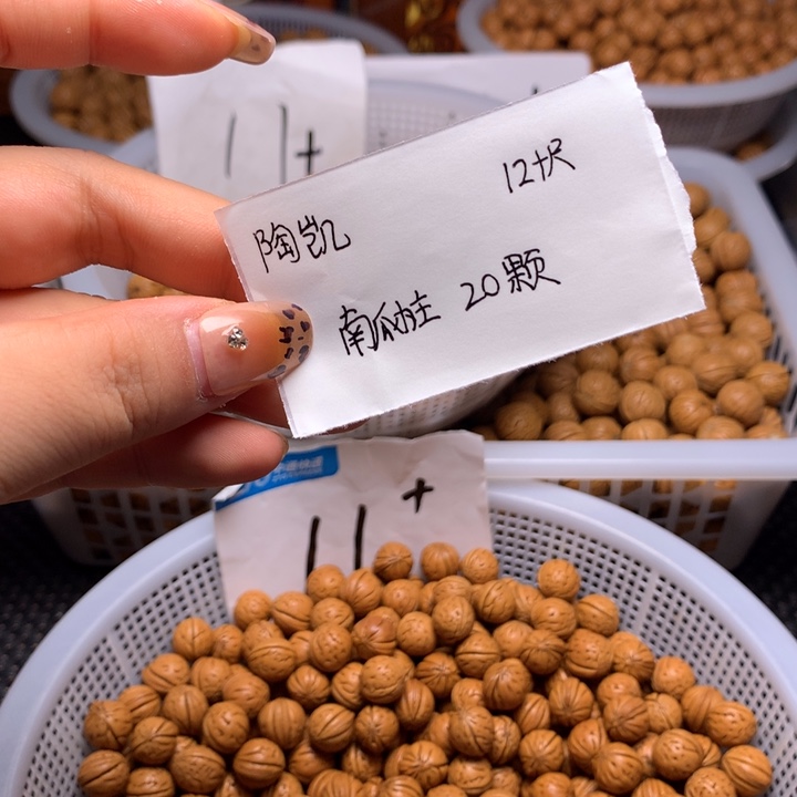 南瓜桩12➕尺20颗籽