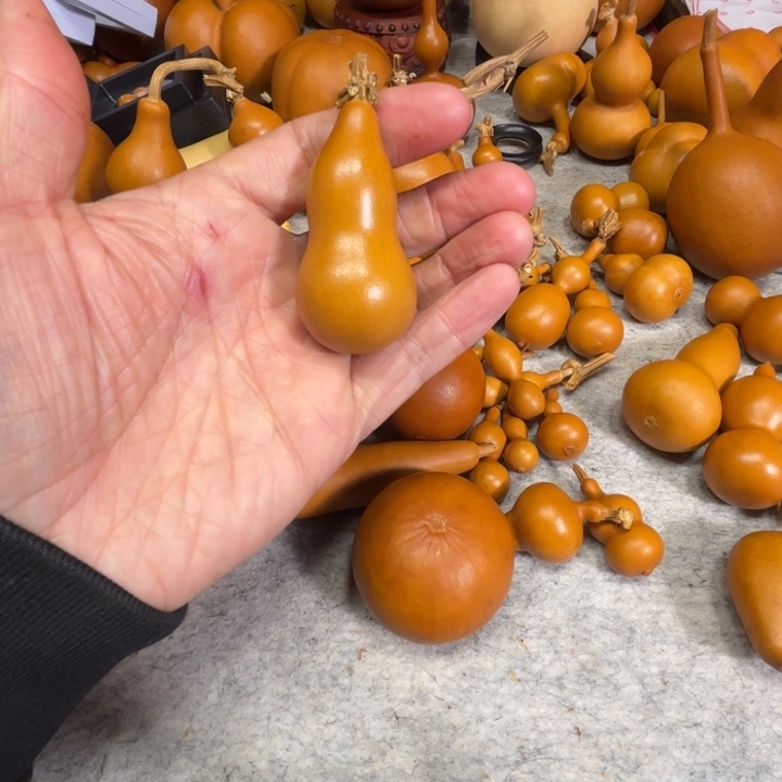 欣***新的一把胖点儿中华本领葫芦