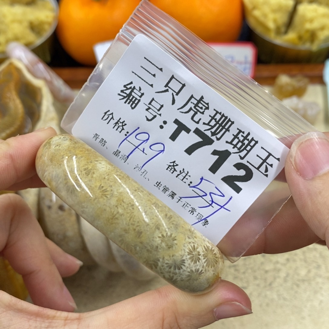 硅化珊瑚（珊瑚玉）1未镶嵌?*婷