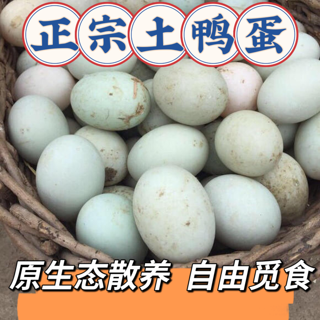 30枚 农村土鸭蛋 湖边散养原生态 新鲜现发健康营养 单枚60-65g