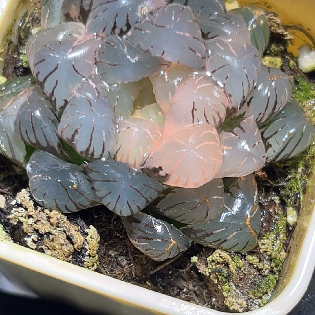 恭喜发财大吉大利4540
