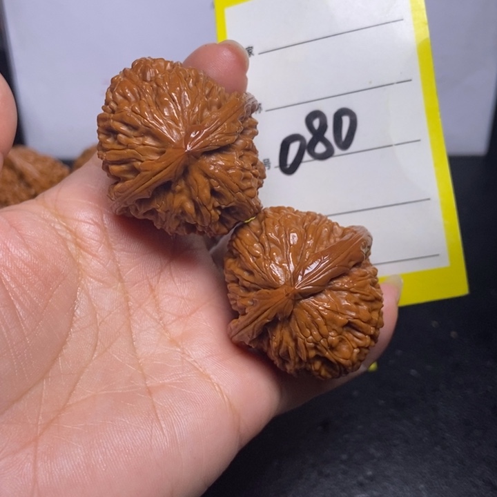 文玩核桃吊坠080/38白狮子练手对