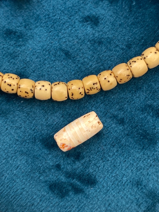 特价 星月菩提配珠5.9×12.3mm