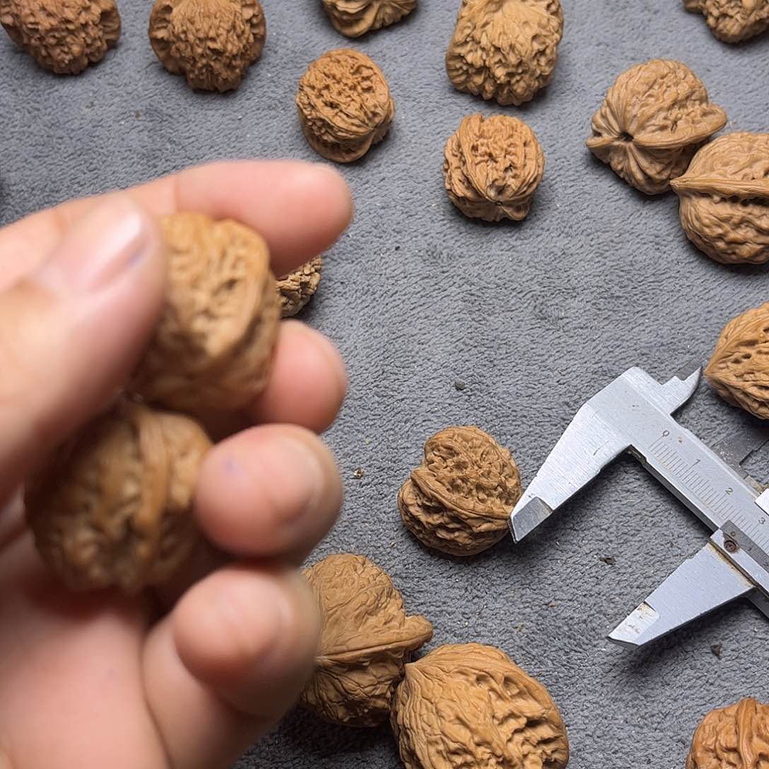 文玩核桃手串李*种野狼