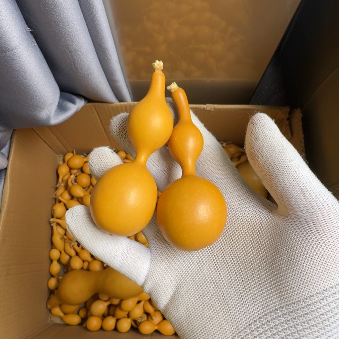 向****精品手把蚂蚁肚葫芦