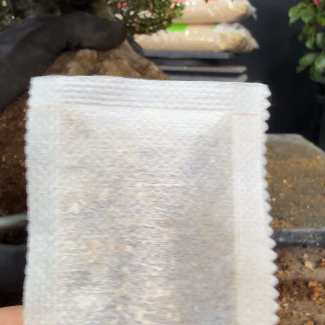 盆景盆景盆景紫园100小小包肥料