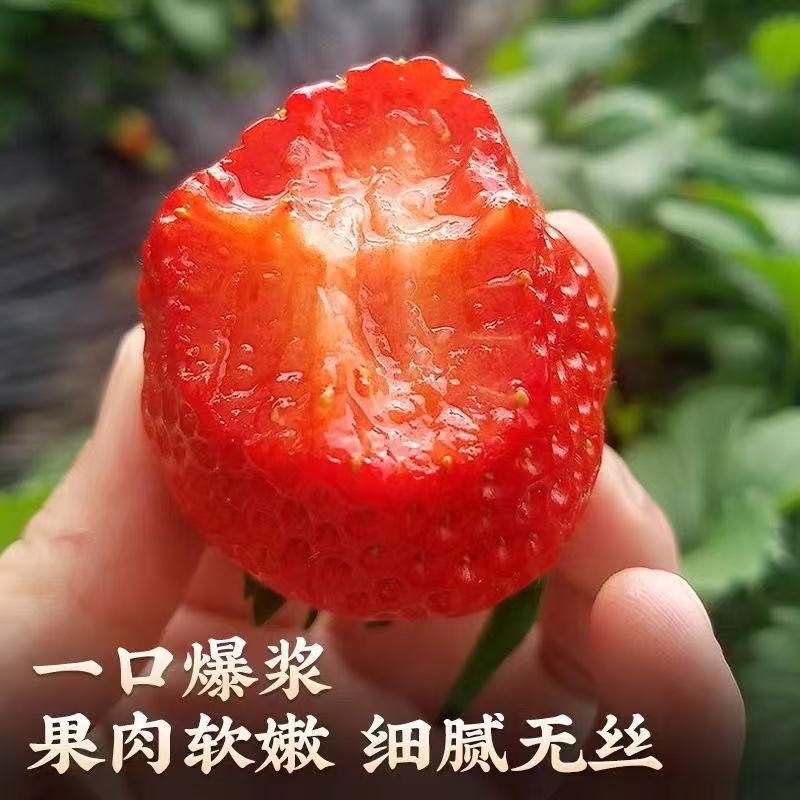 正宗奶油草莓空运甜宝新鲜水果奶油草莓酸甜【3斤装】送3斤车厘子