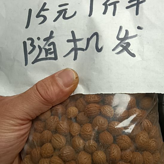 桃核吊坠野生山桃核圆核