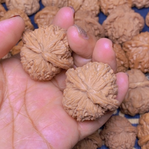 【闪购商品】文玩核桃吊坠香**娇白狮子40