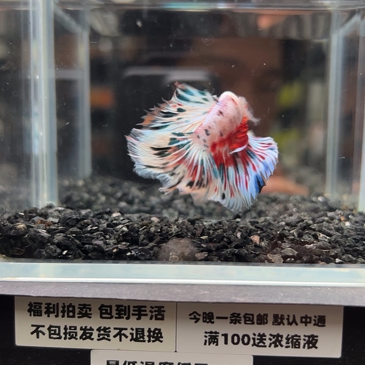 斗鱼跑单拉黑9日65