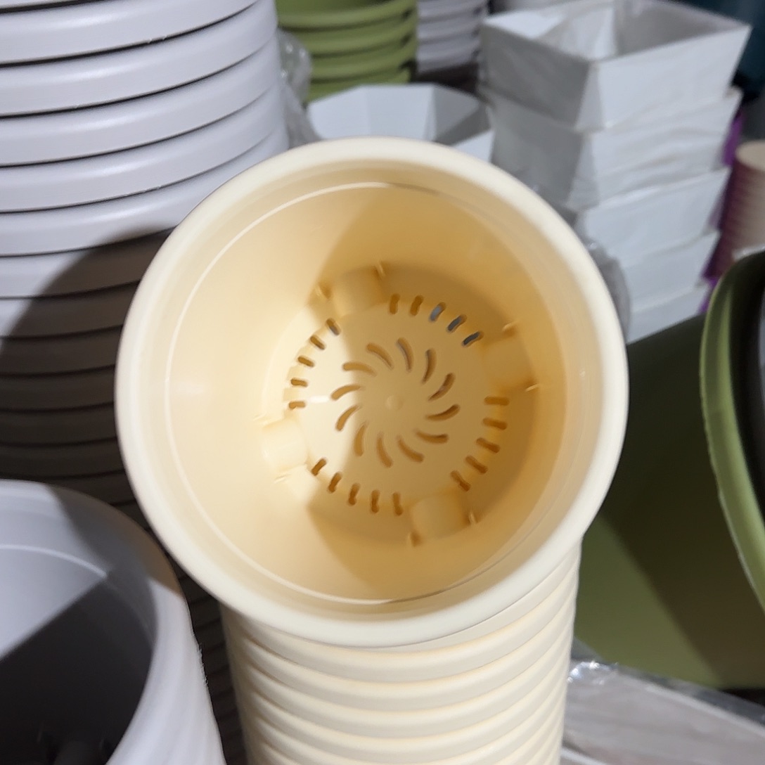 树脂四季2号无托12个米黄微瑕