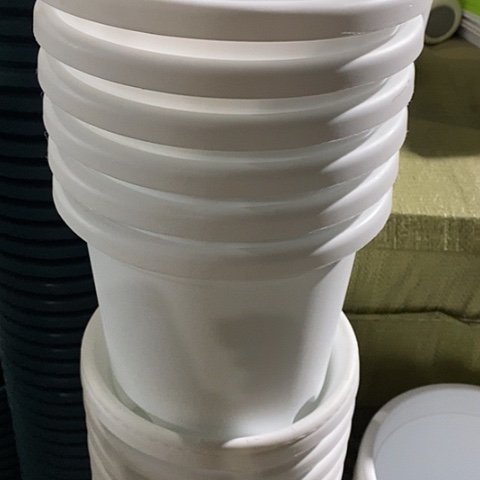 树脂四季3号纯白无托10个