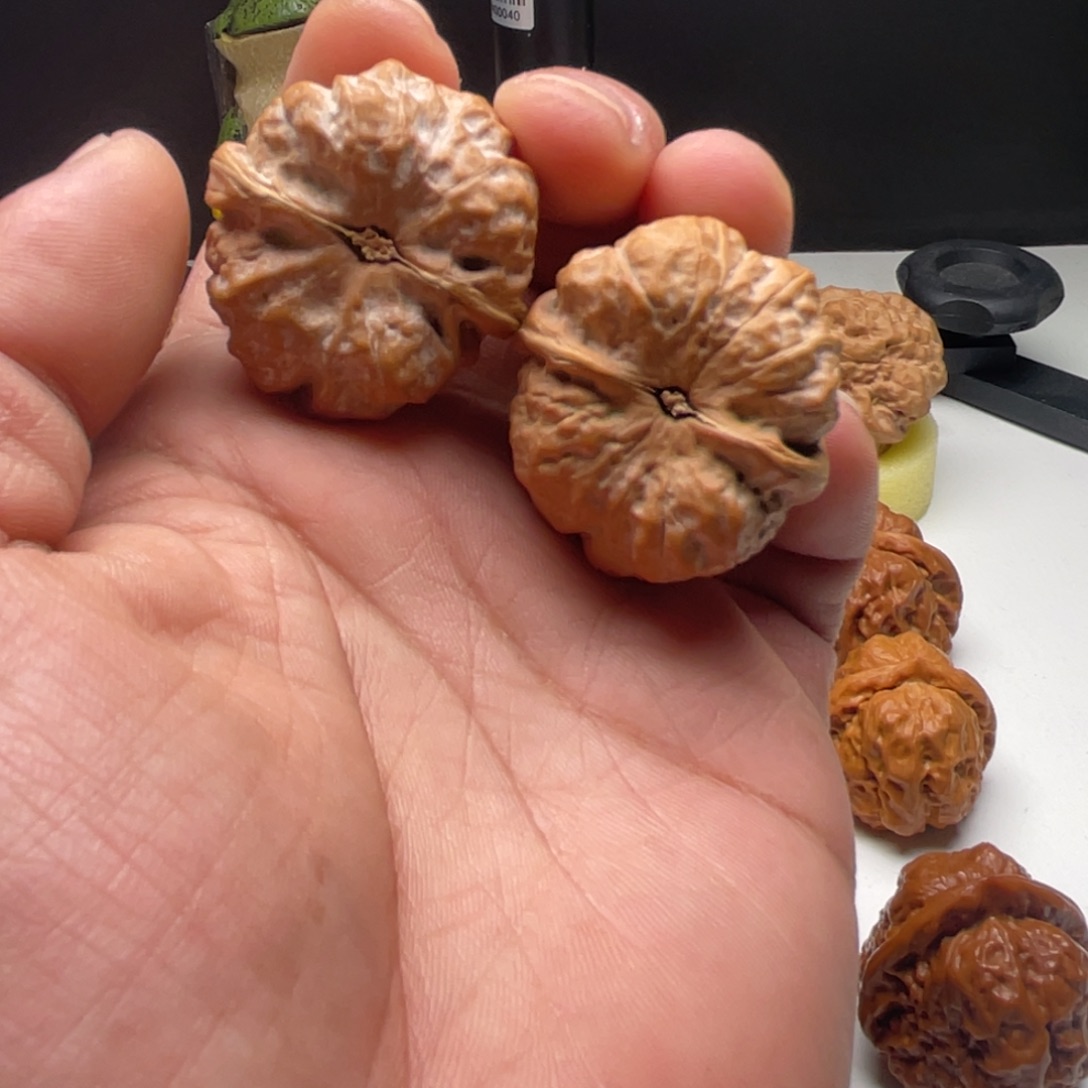 达***西核桃蛤蟆头核桃 36