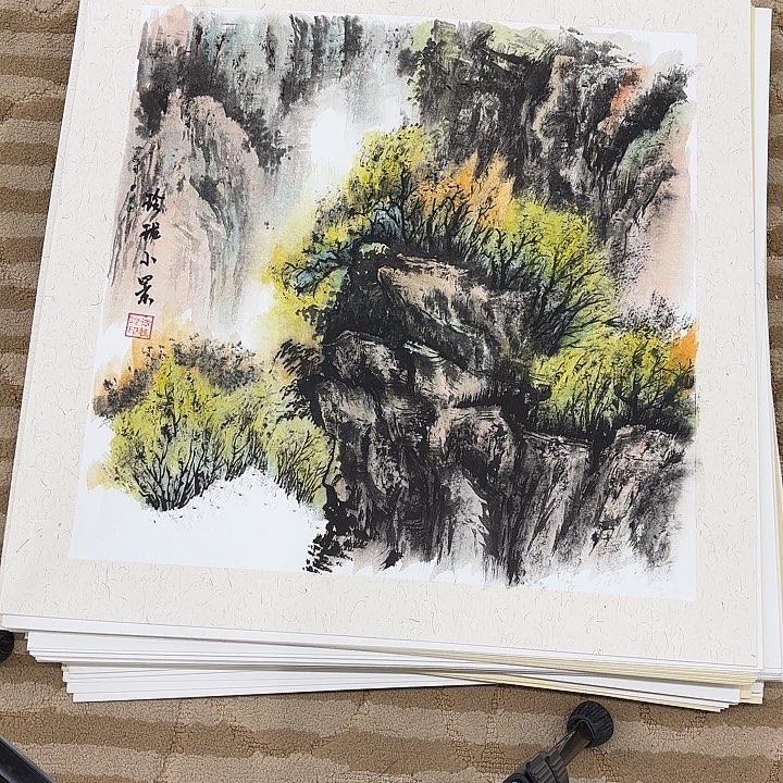 国画花鸟等动物为主料50.50