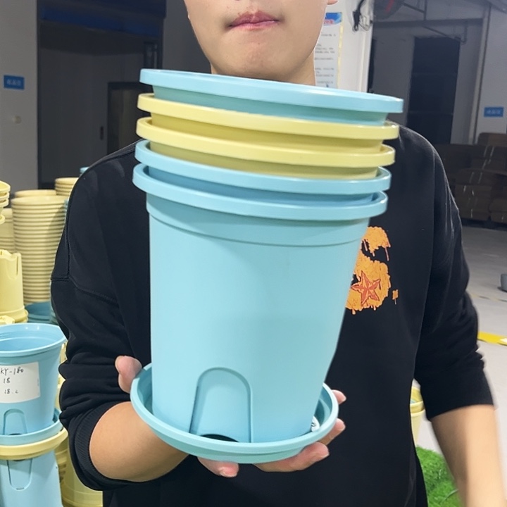 清仓圆控口18高18混色5只带托