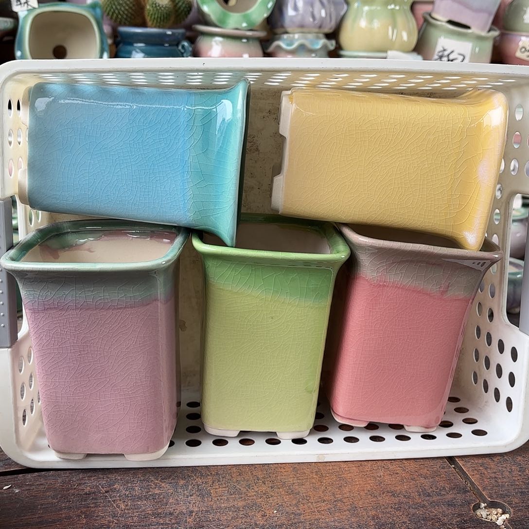 量货/7口高11深浅搭配发4