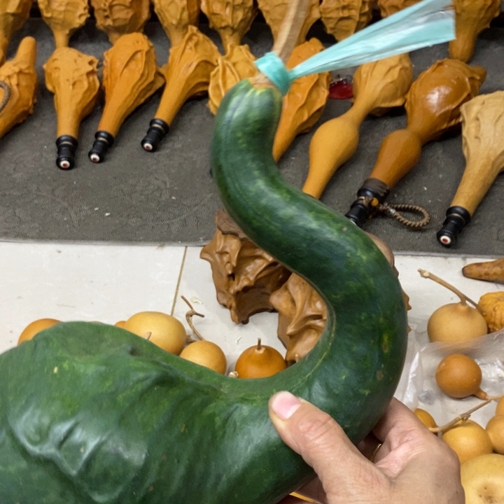 我***疵鹤首葫芦……………………….