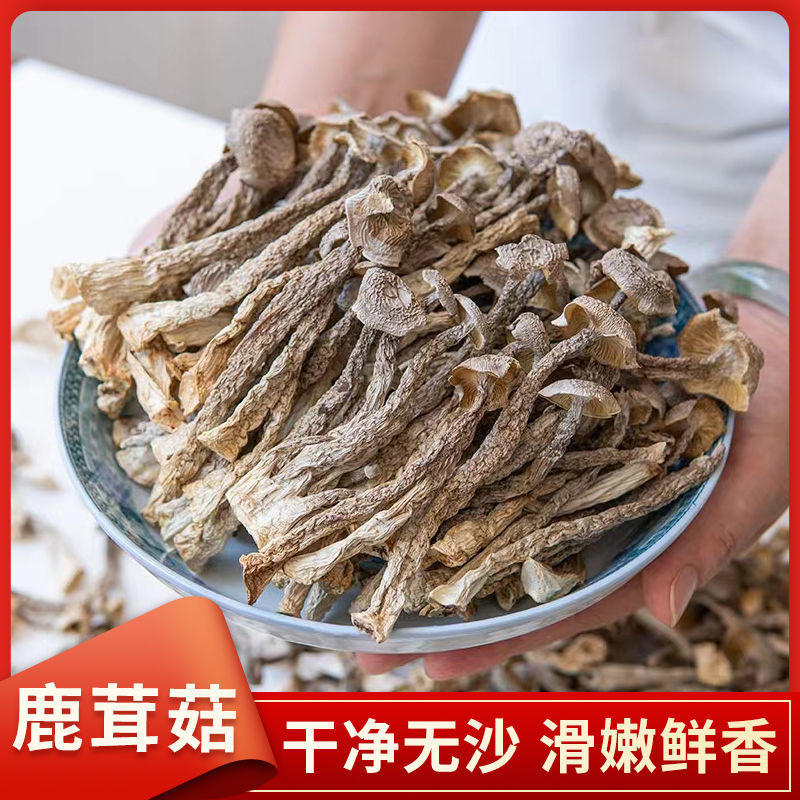 【无硫无漂白！】鹿茸菇 鹿茸菌新鲜香菇干货云南特产鹿茸菇煲汤食材