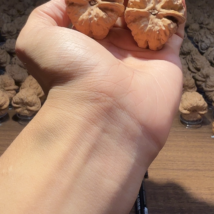 ****龙核桃蛤蟆的眼睛是真的好看