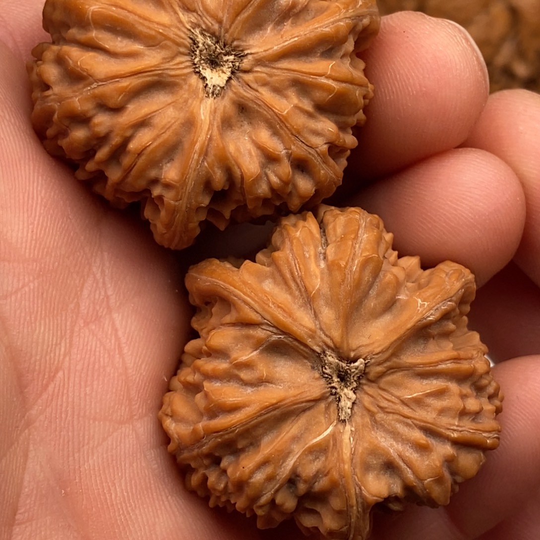 小***铭文玩核桃把件38文山三棱