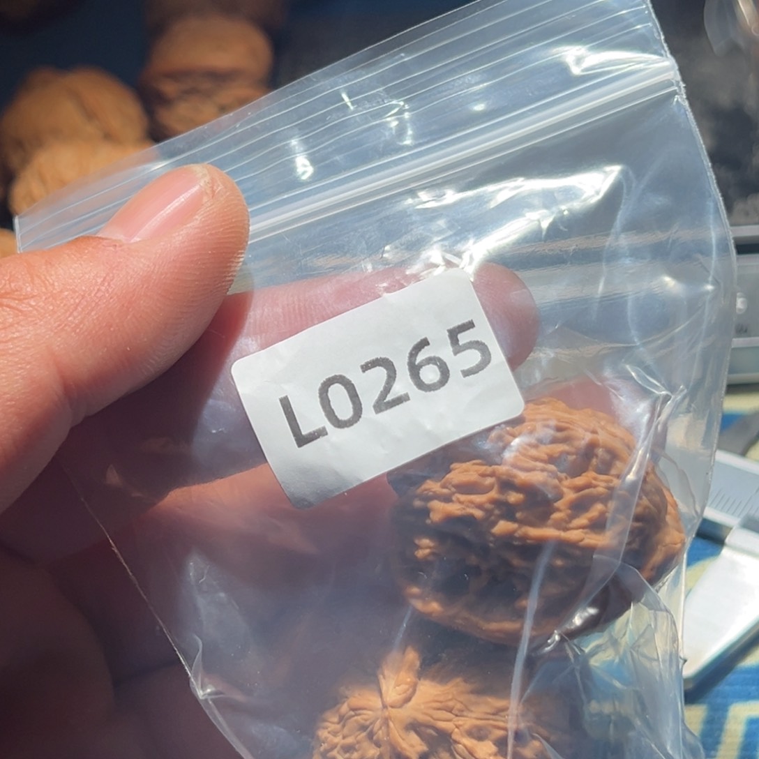 文玩核桃吊坠枝*白狮子