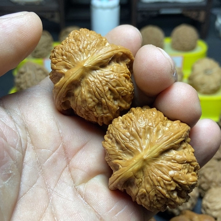 核桃精品血麒麟009