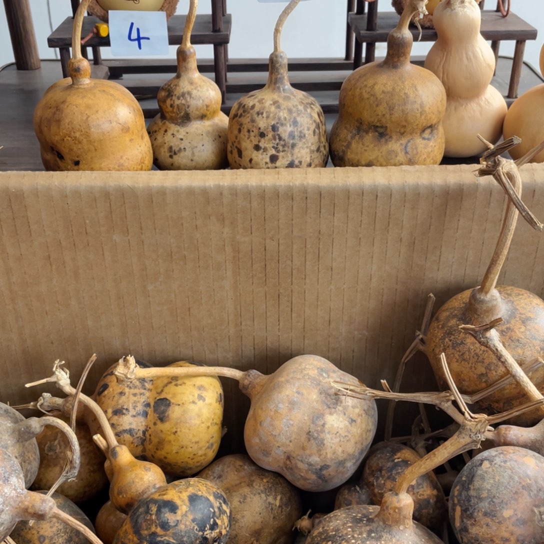 香榧木Y***+葫芦葫芦