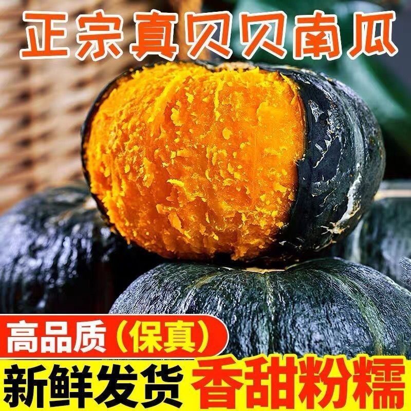 【将军工厂店】贝贝南瓜新鲜采摘粉糯细腻香甜板栗味适合宝宝辅食