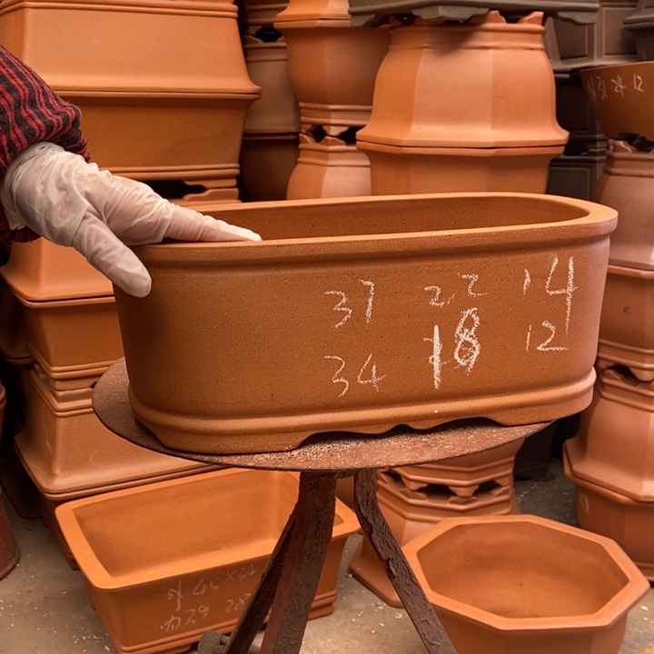 紫砂花盆只顾看着自己