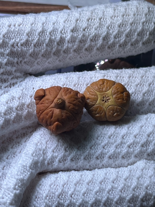 国产凤眼菩提 恶魔 直孔 五星直孔