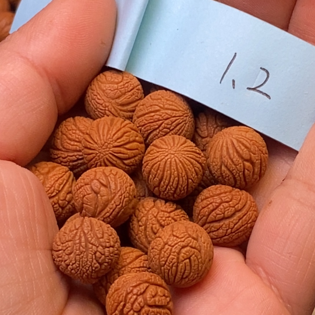 秦岭龙纹桃核20颗