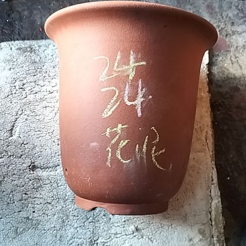 红泥特大金钟一个花泥