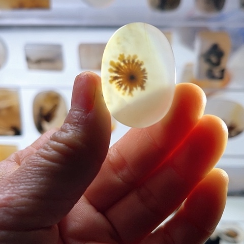 【闪购商品】玛瑙/玉髓珠宝半成品未镶嵌