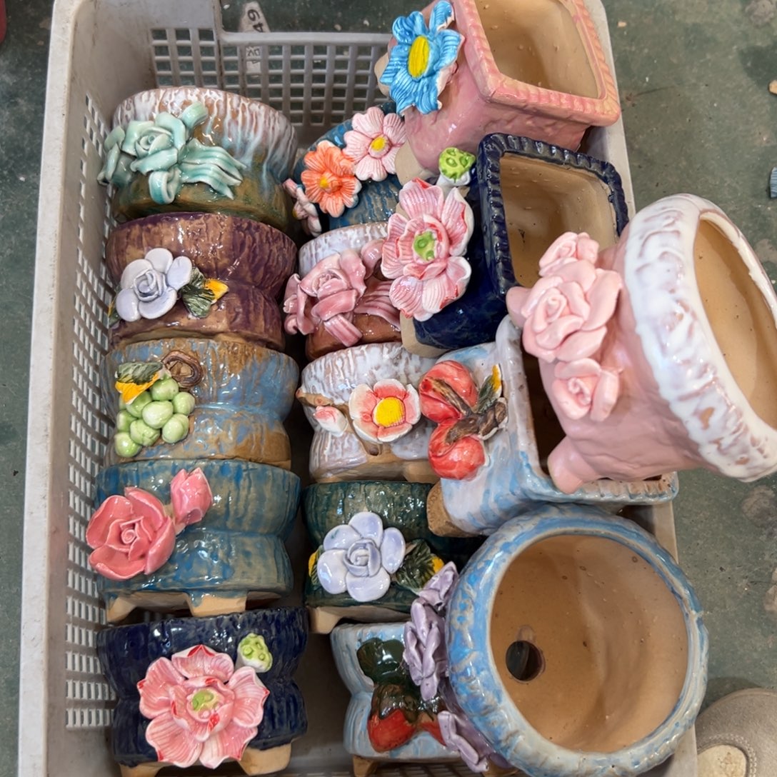 6109 花盆，满20发货，爱退款拉黑