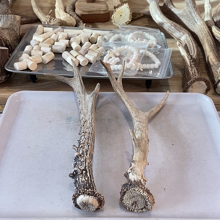 遥***风大叶紫檀（黑酸枝木类）