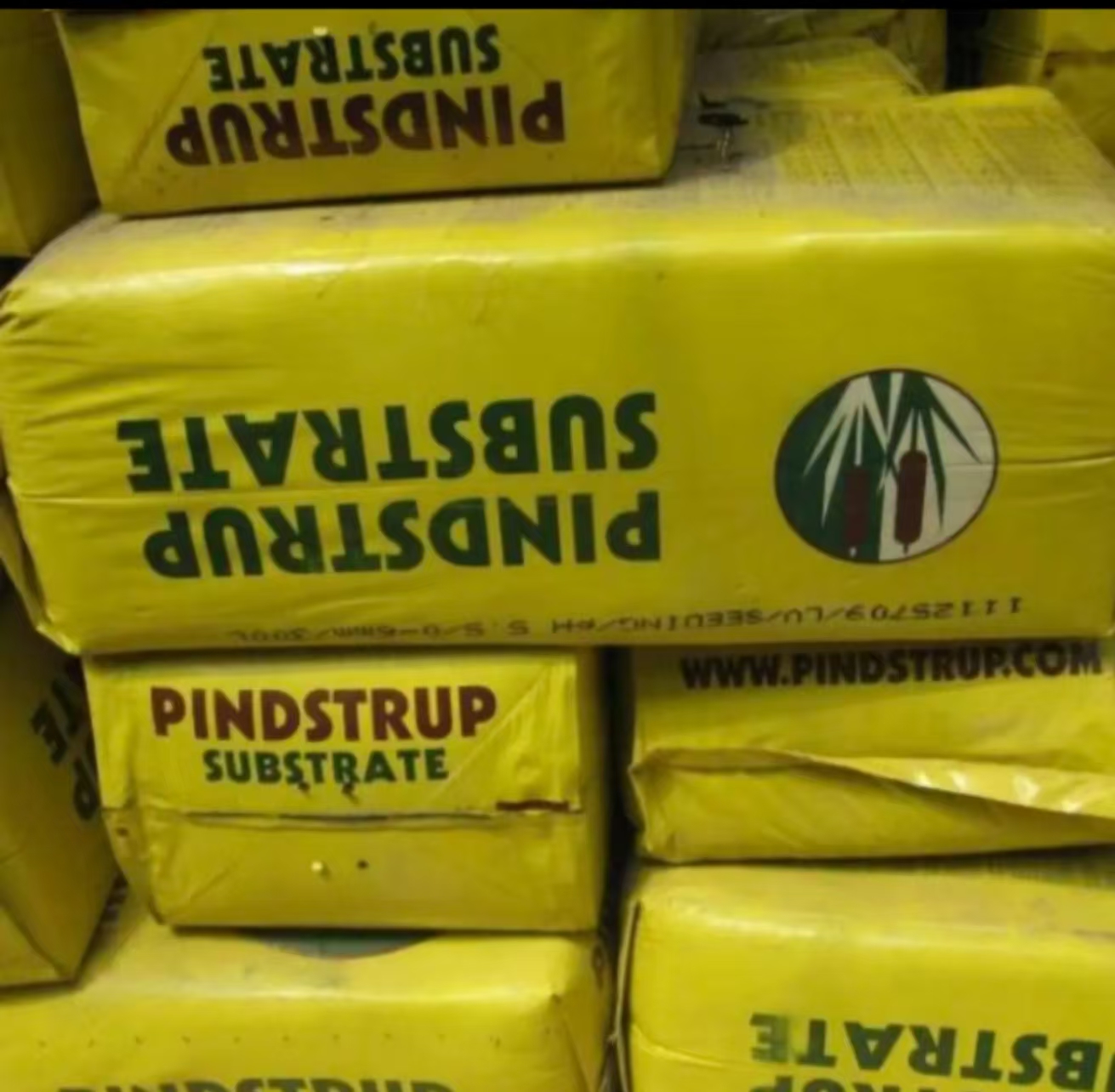 原装有机营养土用于种植秋海棠绿植的花土