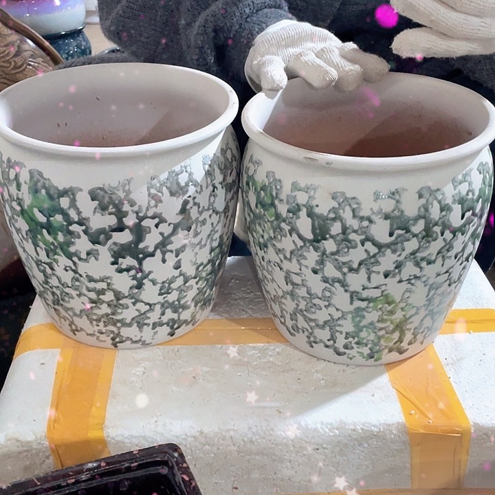 正品20/20两个处理