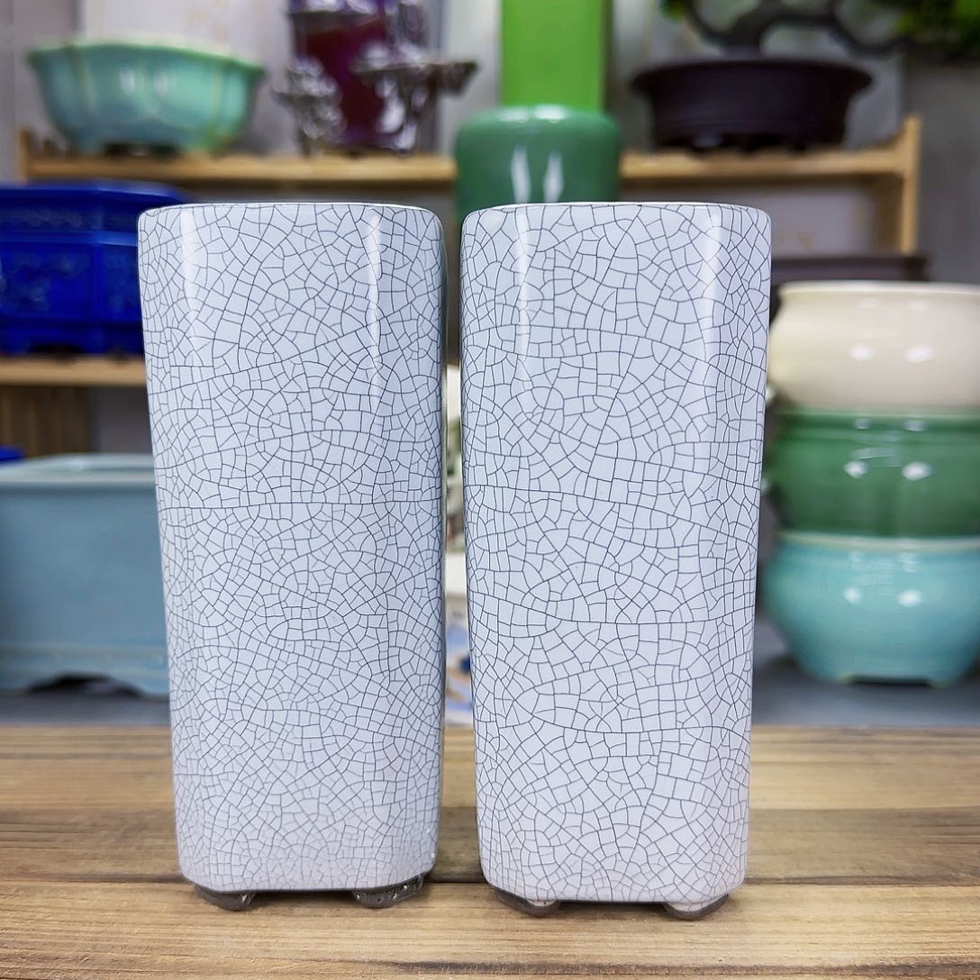 陶瓷花盆特价上新