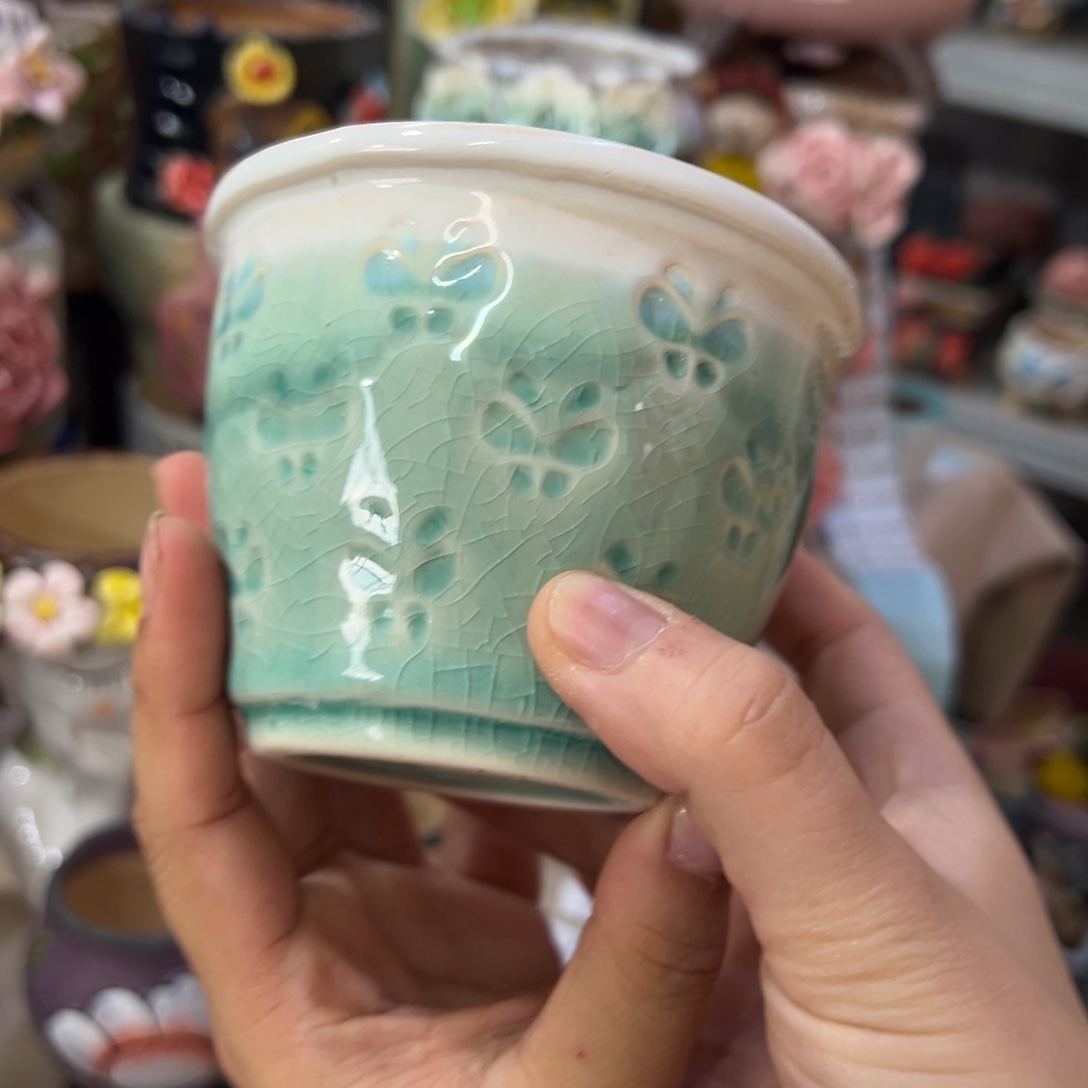 花盆，拍满20发货，退款拉黑