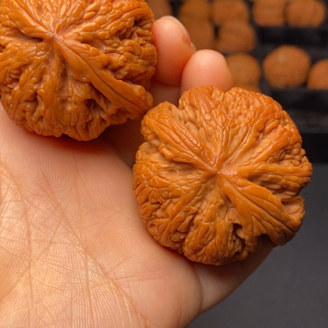 文玩核桃把件秦岭野生核桃