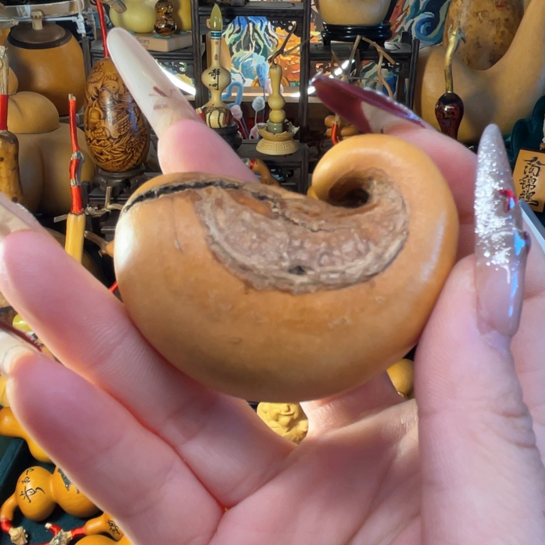 养**牛天裂手把向子腰子